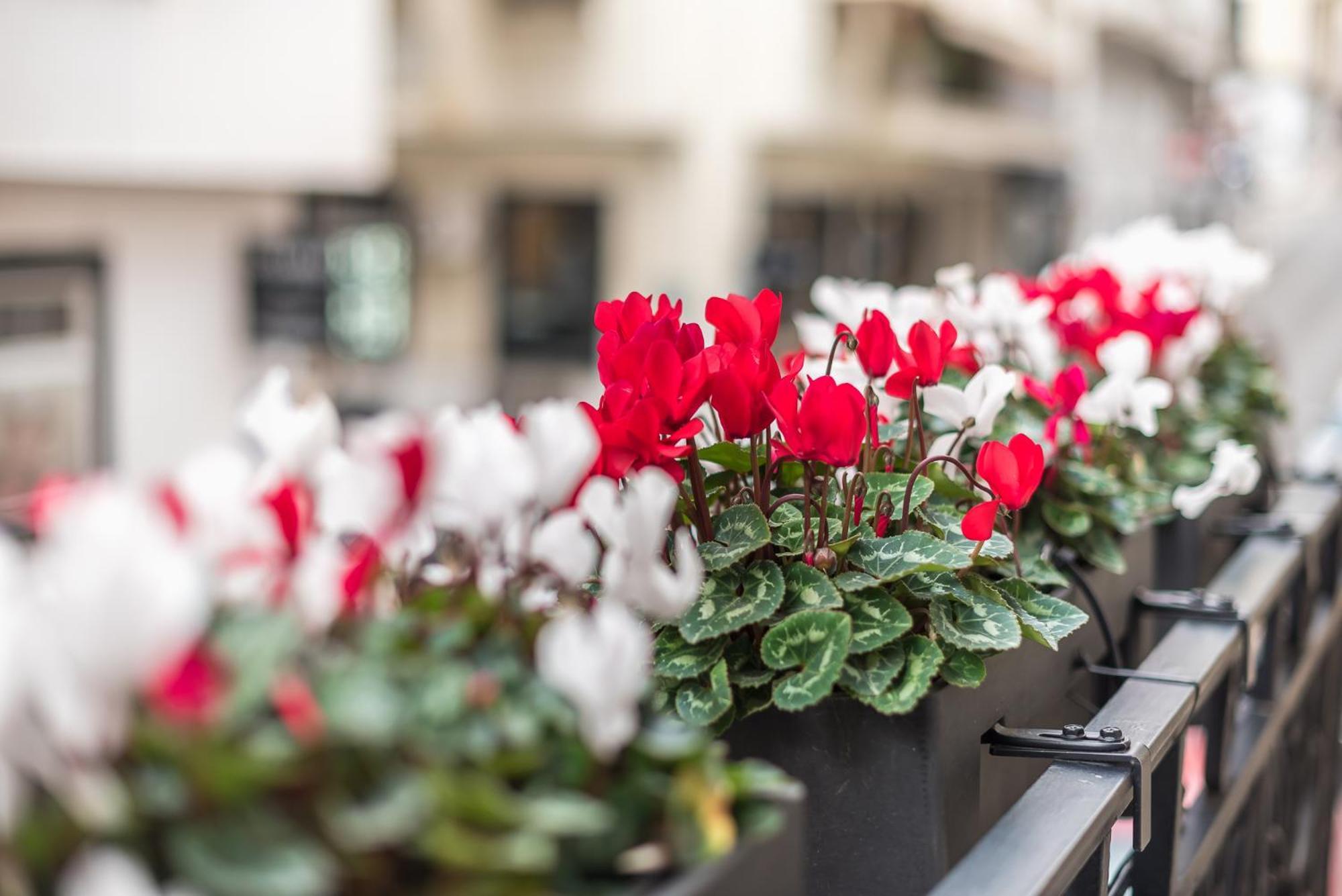 The Rare Luxury Gem Near Syntagma, Kolonaki Square Apartment เอเธนส์ ภายนอก รูปภาพ